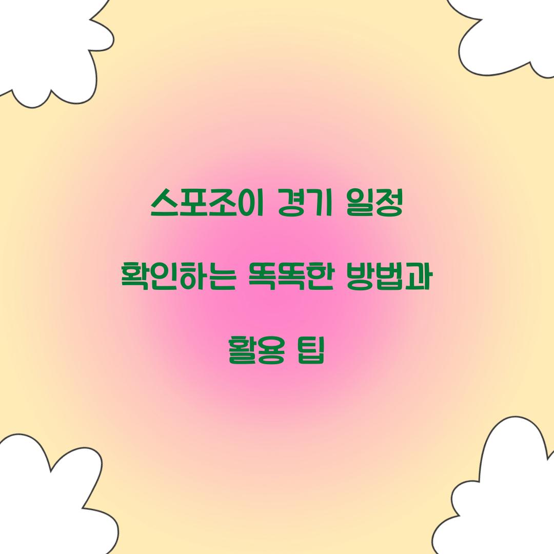스포조이 경기 일정