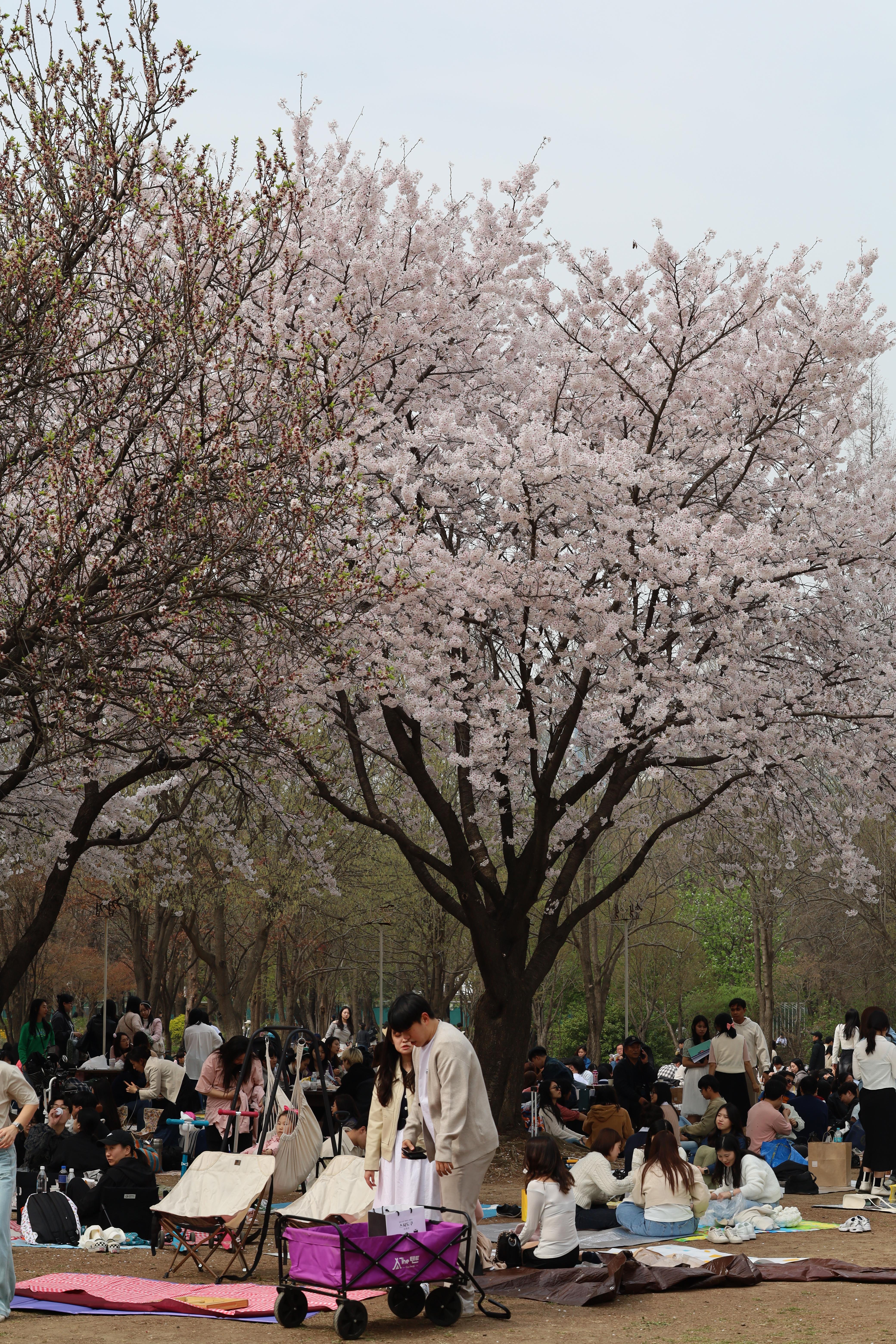 마우스 우클릭, 다른 이름으로 사진 저장 img |무료 이미지 다운로드