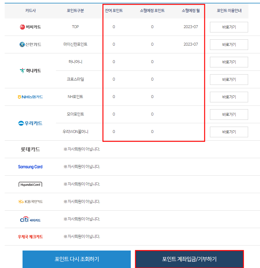 잔여 포인트 확인 페이지