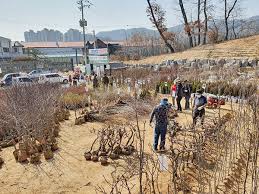 임업경영체 등록의 혜택