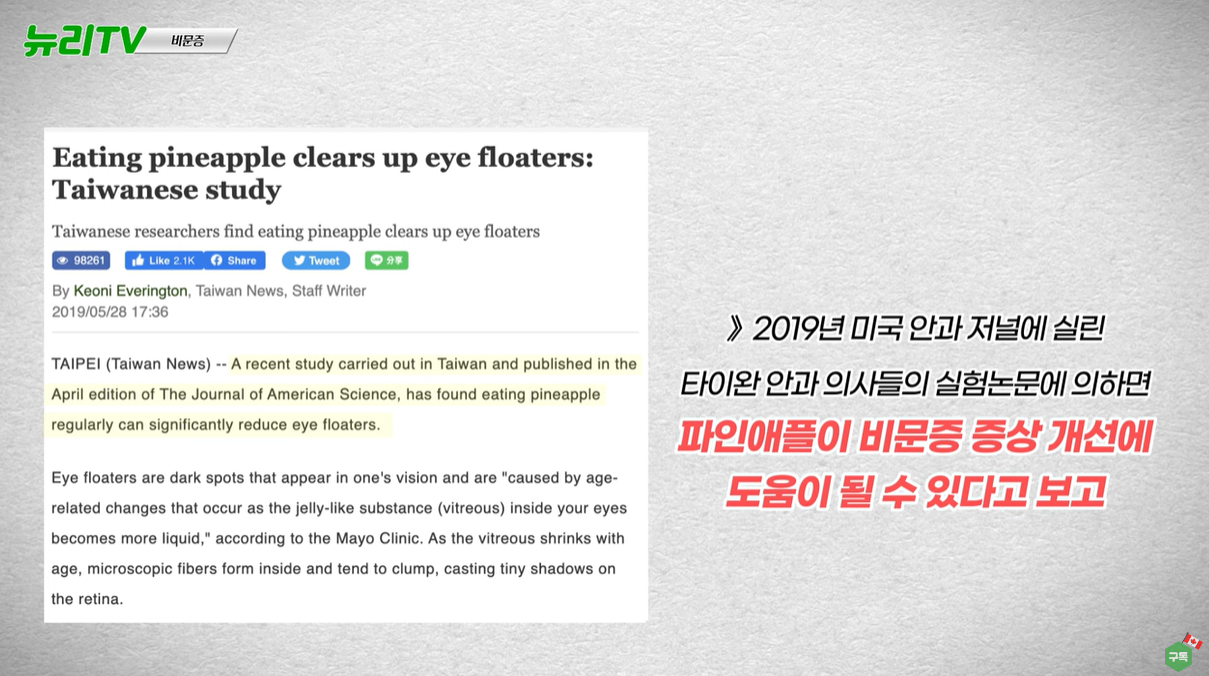 파인애플이 비문증에 도움을 준다는 논문소개