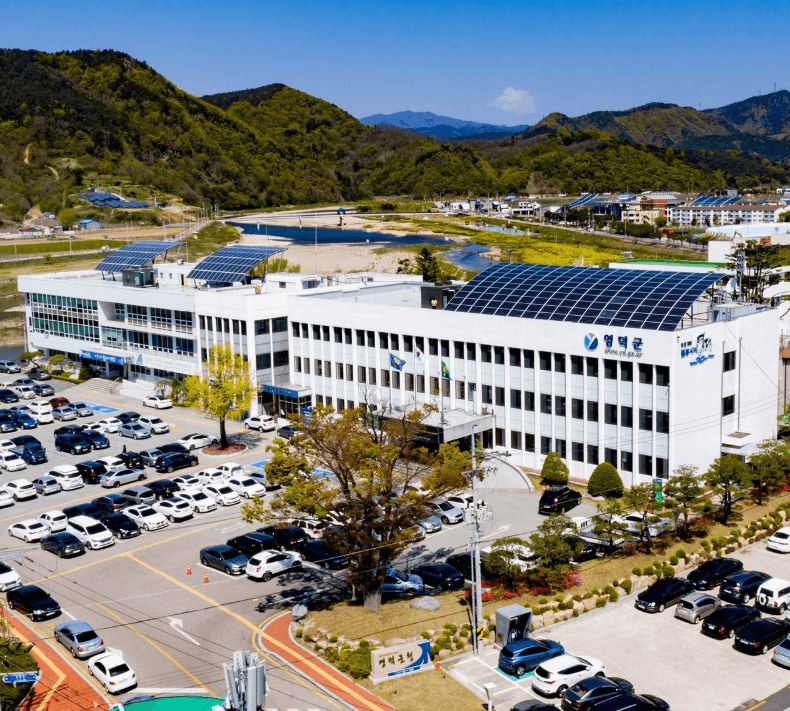 영덕 진달래 심기 착한 여행