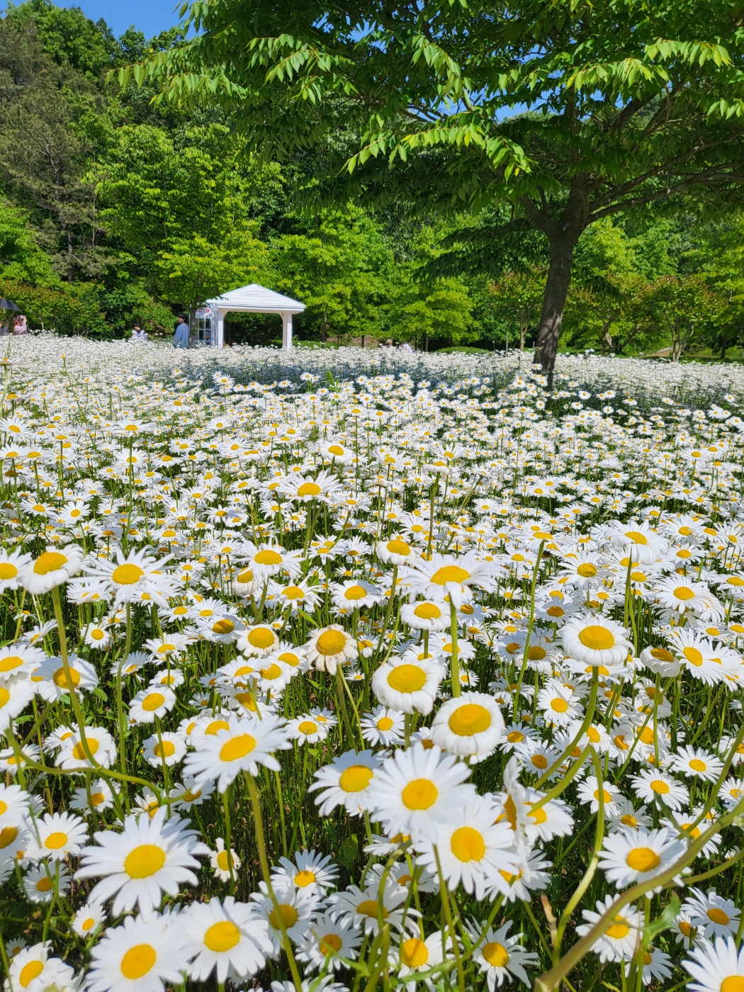 악양생태공원 