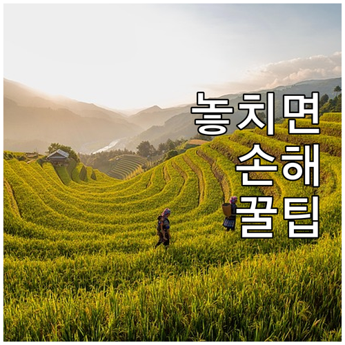 2025 양주시 대가축 생산 지원 경..