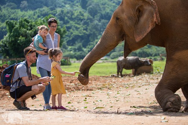 태국 여행 최고의 관광 명소
