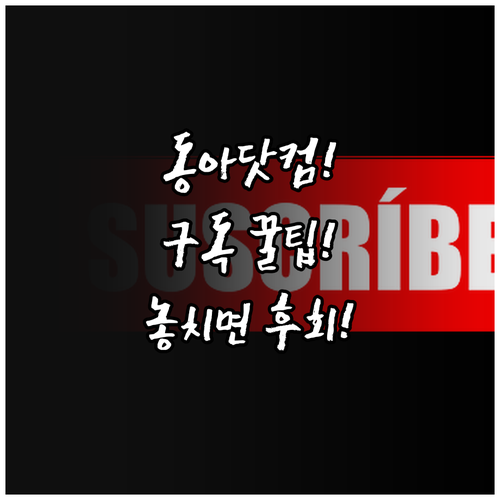 donga.com 공식 채널 홈 화면..