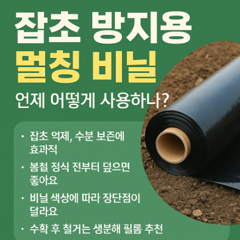 잡초 방지용 멀칭 비닐 사용 방법, 언제 어떻게 사용하나? (이미지 챗지피티)