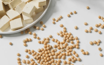 위 절제 후 식단