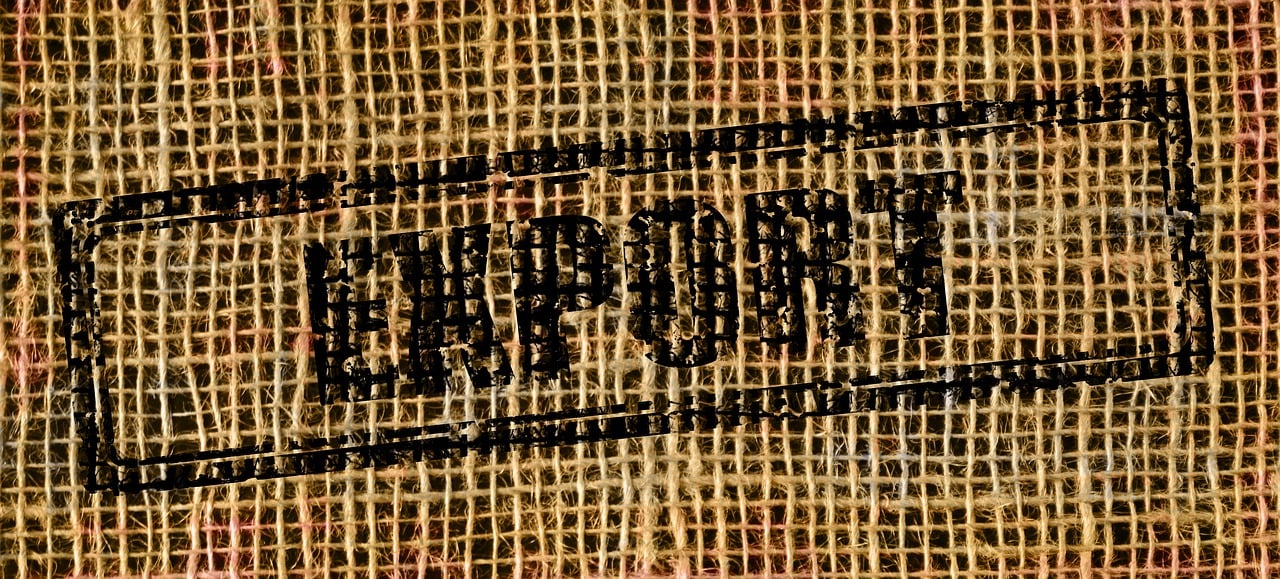 비트버니 퀴즈 정답 4월15일 사용법