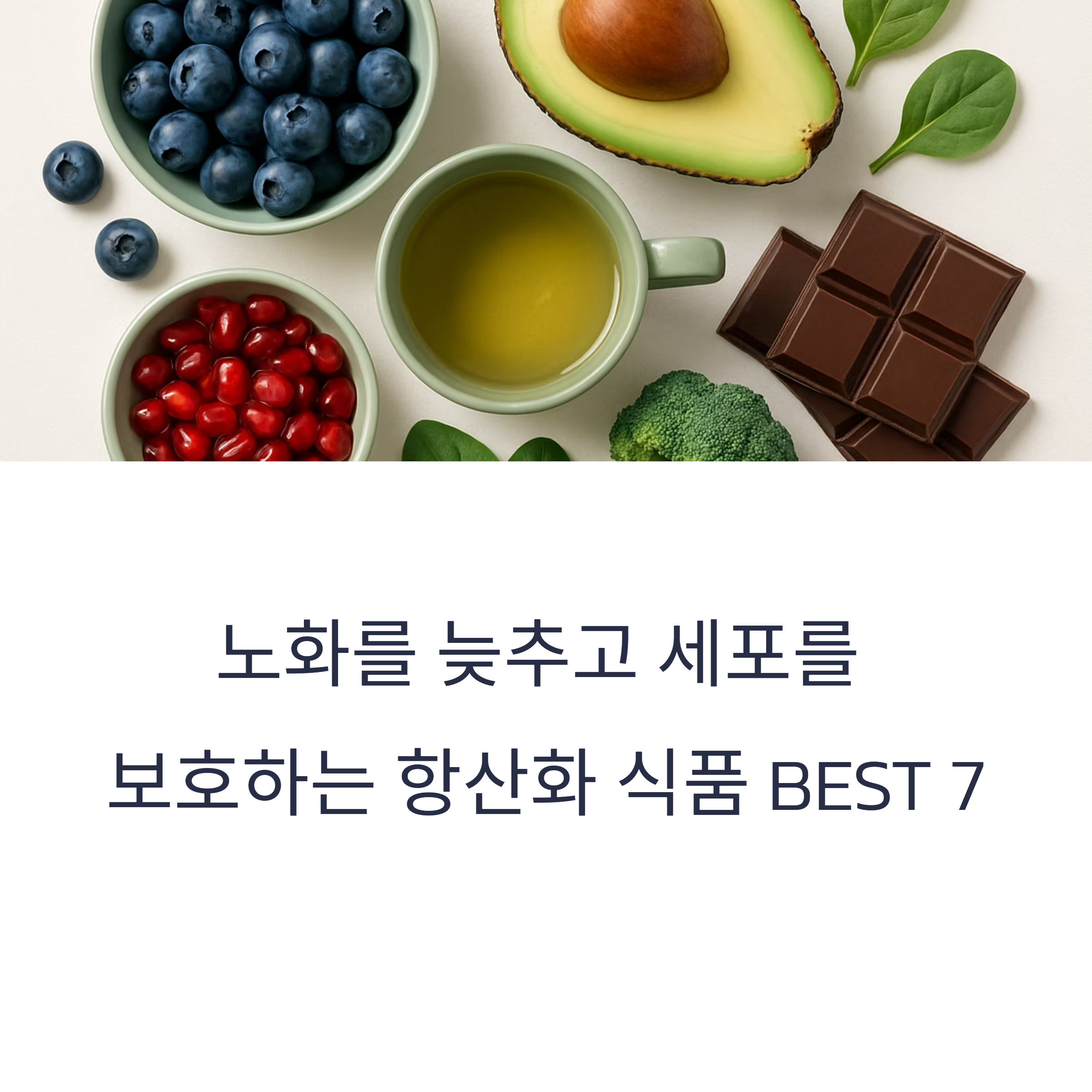 항산화 식품 BEST 7
