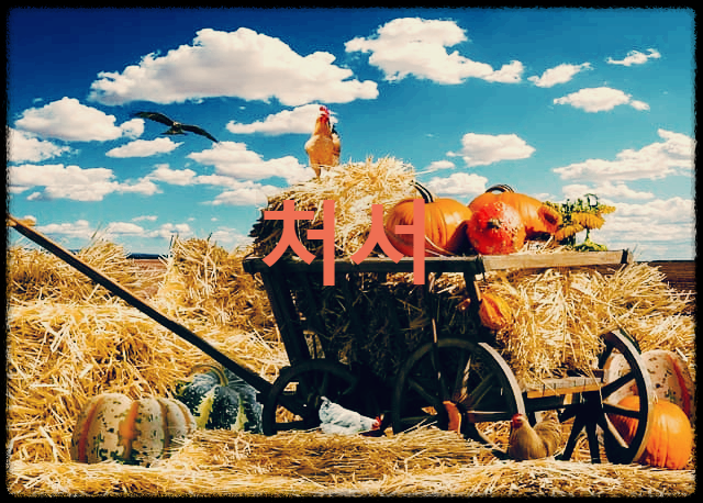 처서