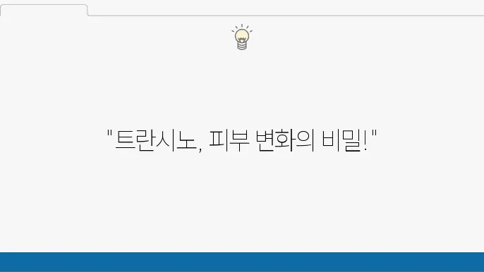 트란시노의 장단점 요약