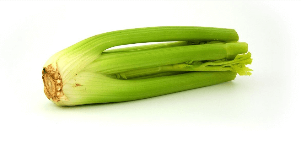 식이섬유가 많은 음식 - 10112