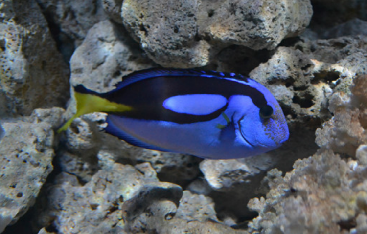 울진 아쿠아리움