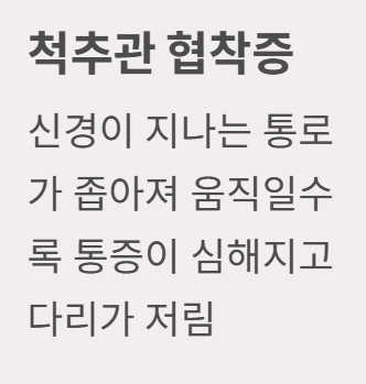 오른쪽 등 통증 의심되는병
