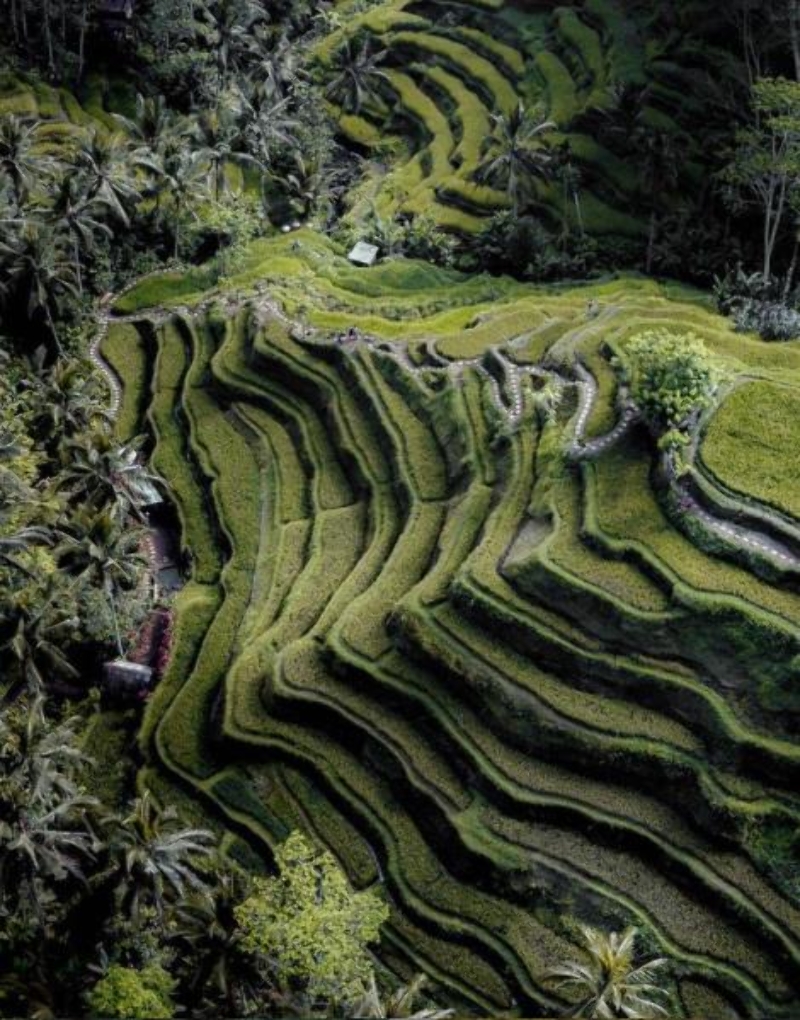 출처:하나투어&amp;#44; 발리