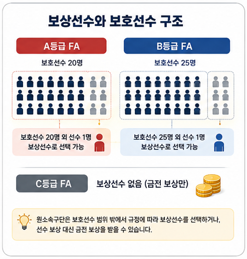 보상선수와 보호선수 구조