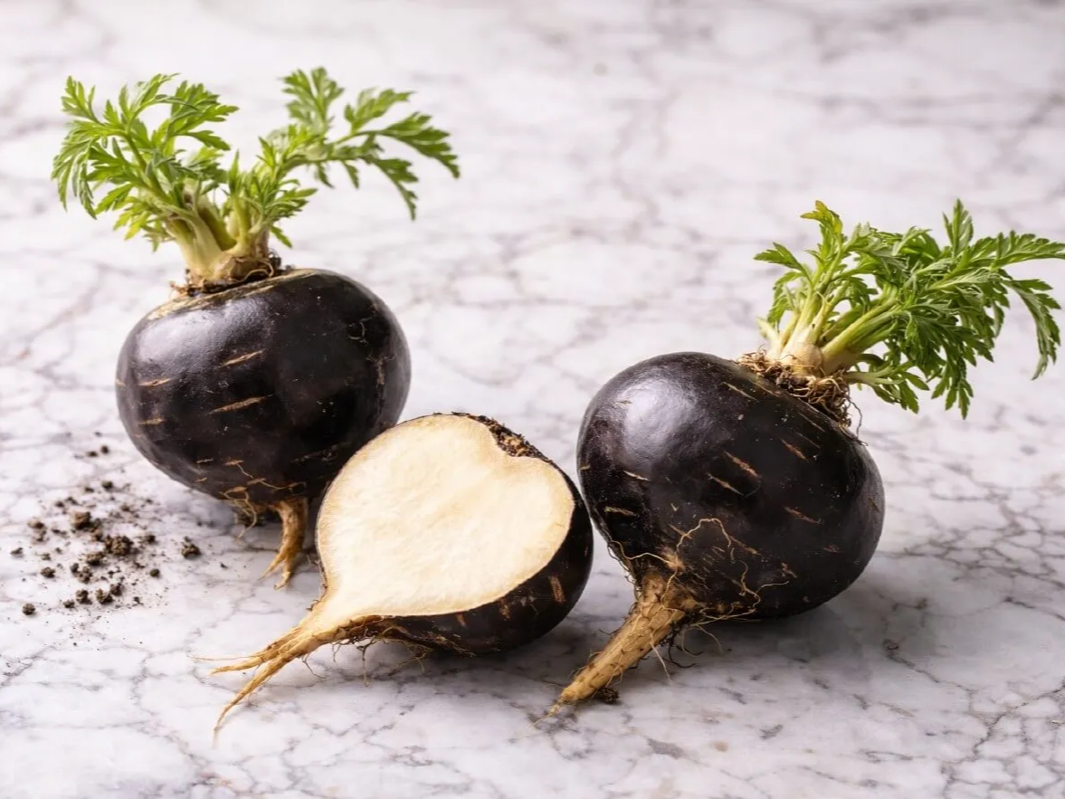 간편하게 먹는 블랙마카