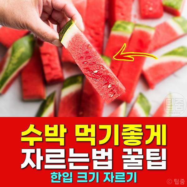 수박 먹기좋게 자르는법 한입크기