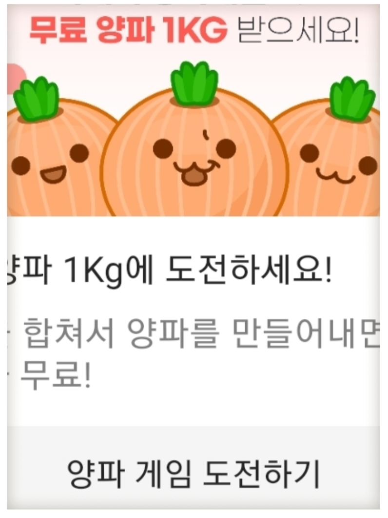 자동차 보험