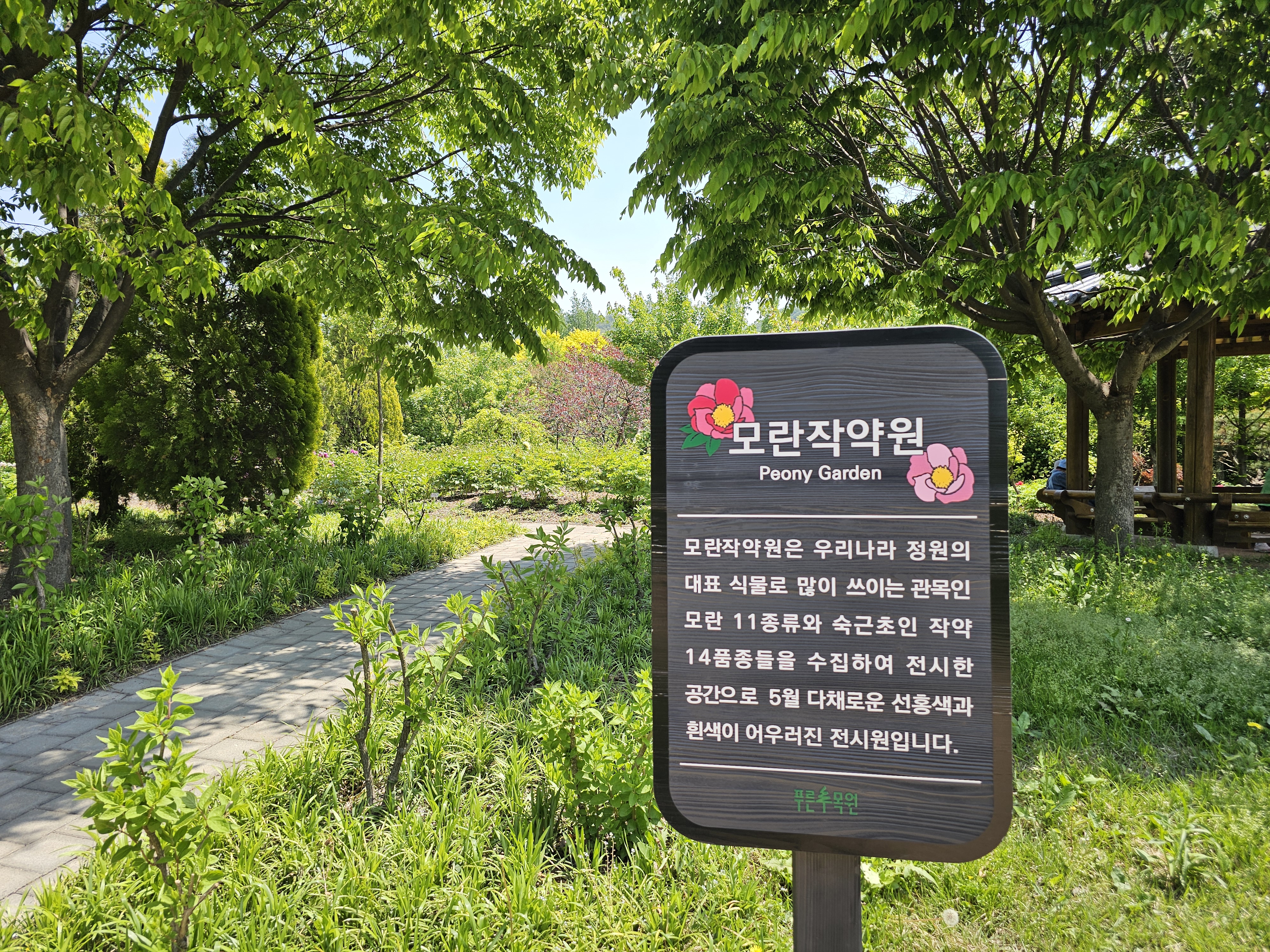 모란작약원