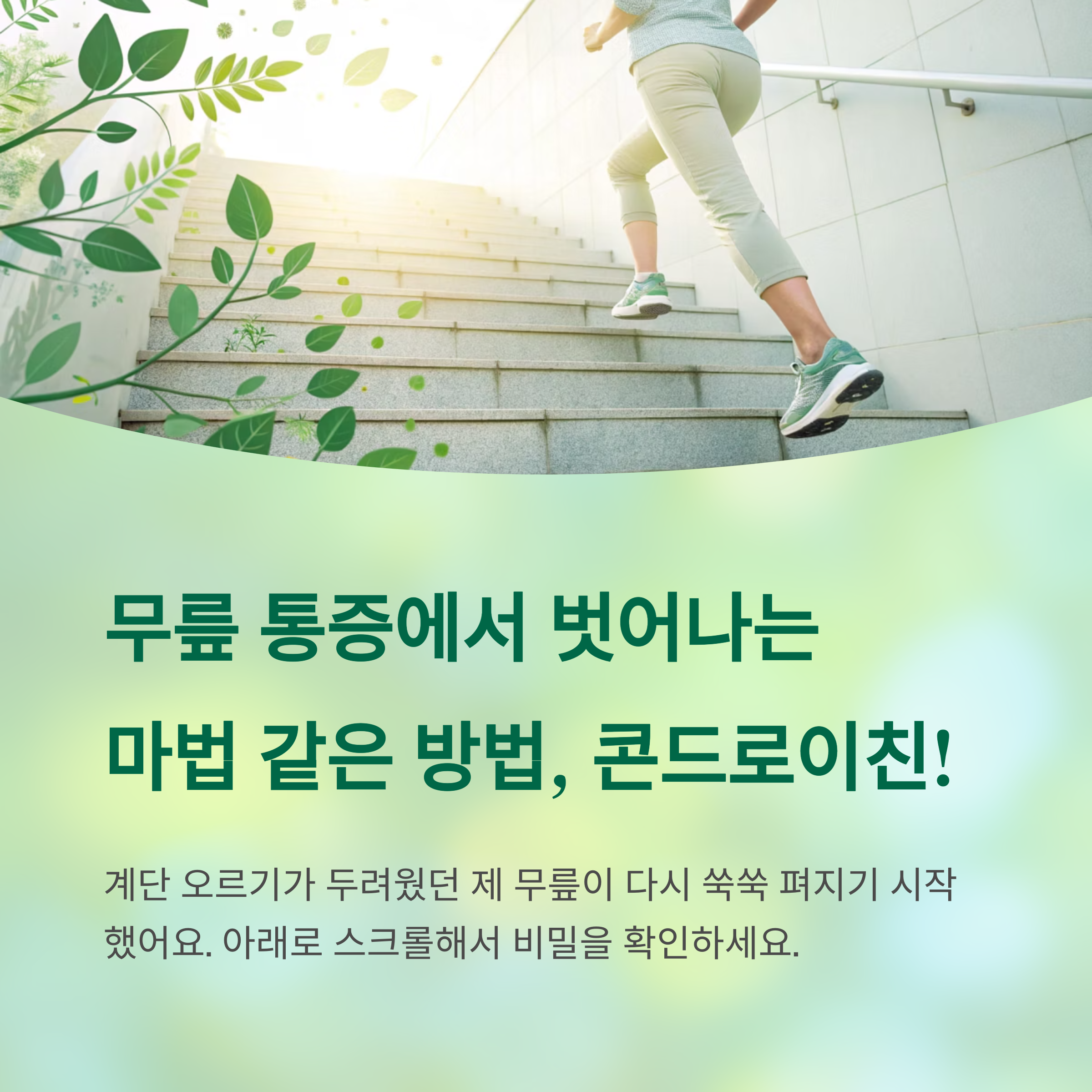 무릎이 쑥쑥 펴지는 마법, 콘드로이친 복용으로 되찾은 일상