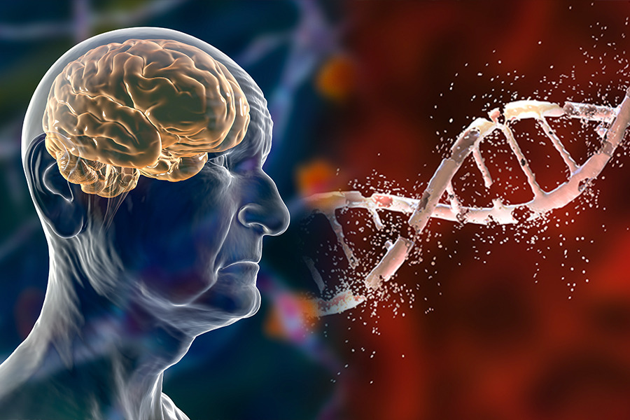 초미세먼지와 루이소체 치매 연구 결과 관련 이미지