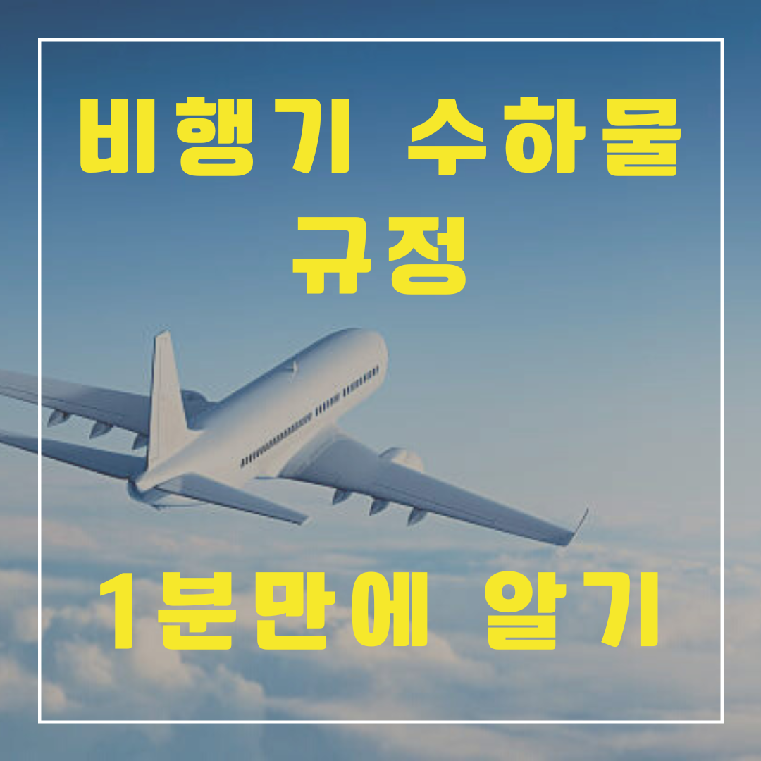 비행기-수하물-규정