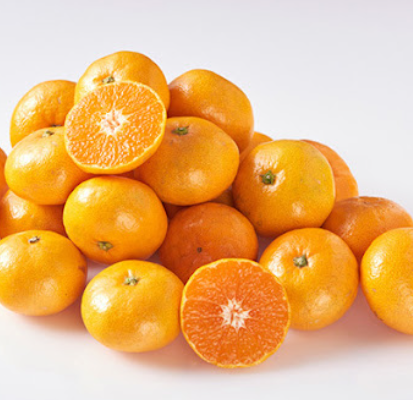 비염에 좋은 음식