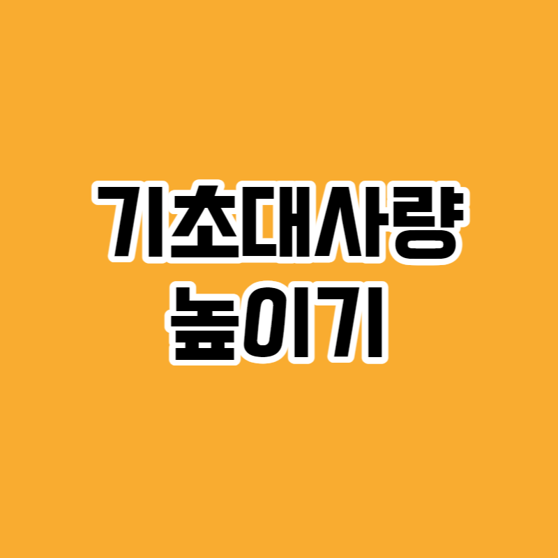 기초대사량 높이기