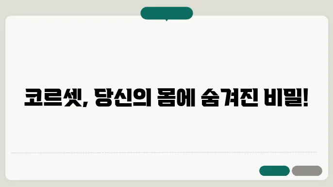 코르셋 효과