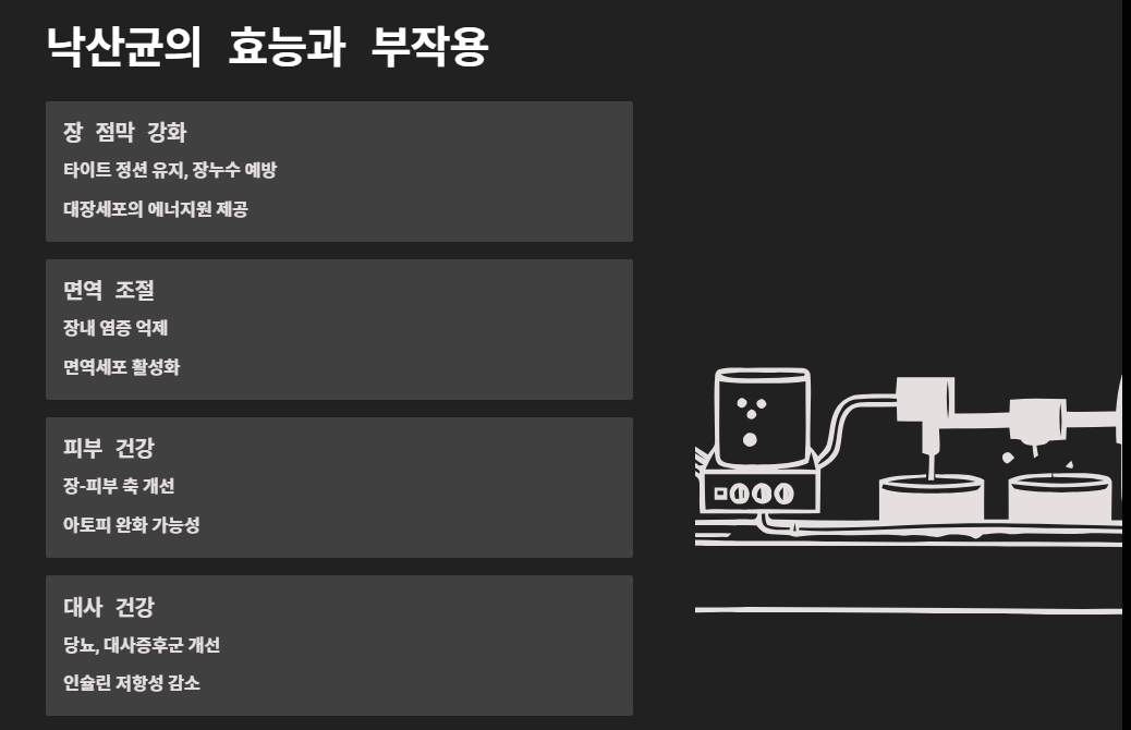 낙산균 효능부터 프로바이오틱스, 포스트바이오틱스까지 총정리 (장 건강 필수 가이드)