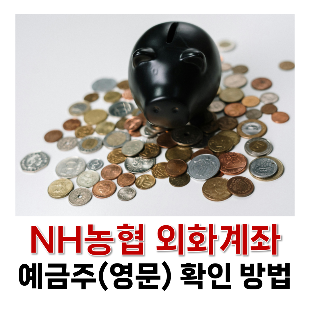 NH농협 예금주(영문) 확인 방법