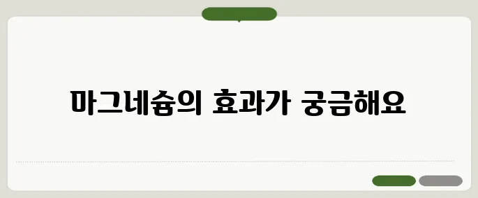 마그네슘 많은 음식 피로회복에 딱 좋아요!