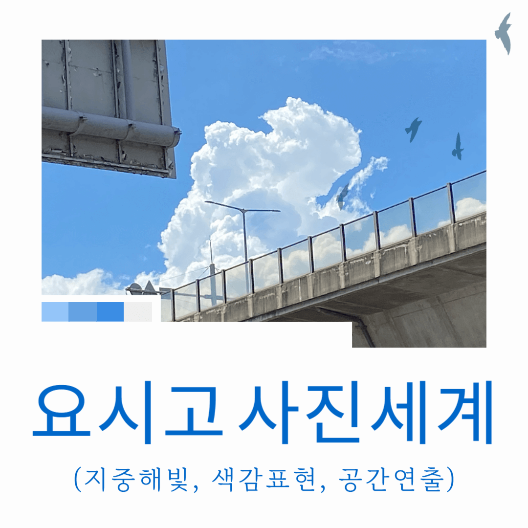 요시고 사진세계 (지중해빛, 색감표현, 공간연출)