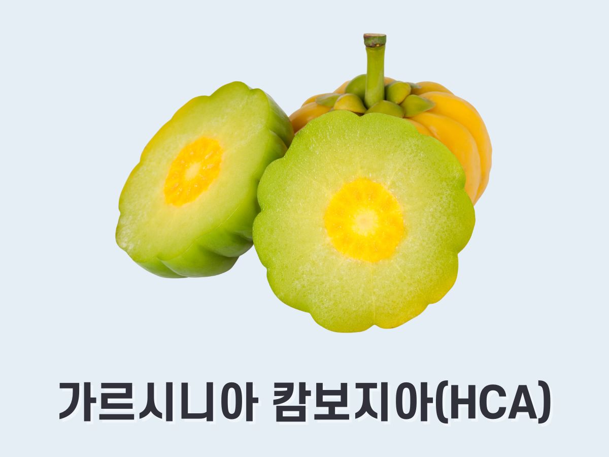 가르시니아 캄보지아 추출물(HCA)