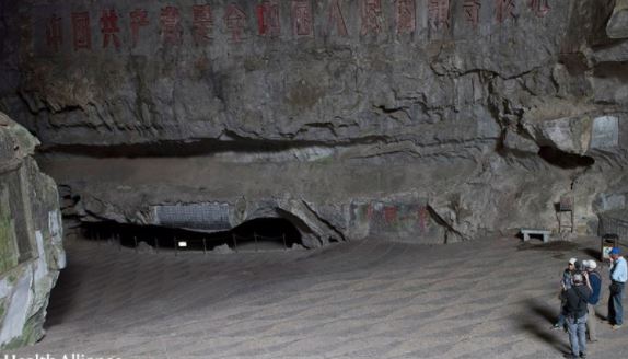 코로나 중국 시장에서 시작