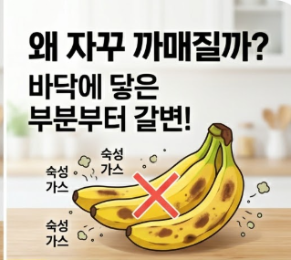 바나나 보관법