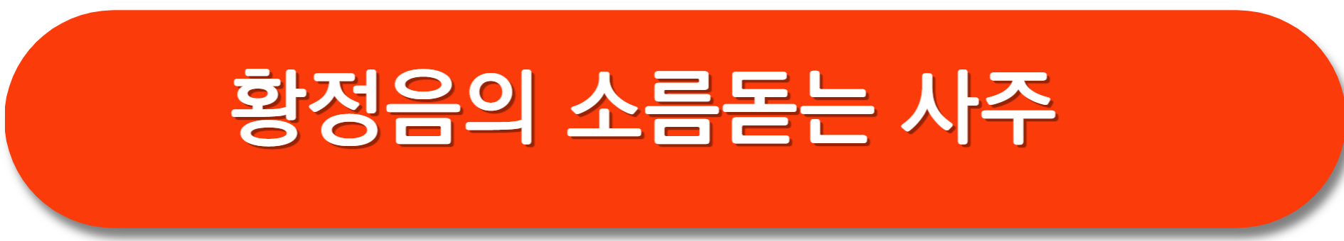 황정음-열애