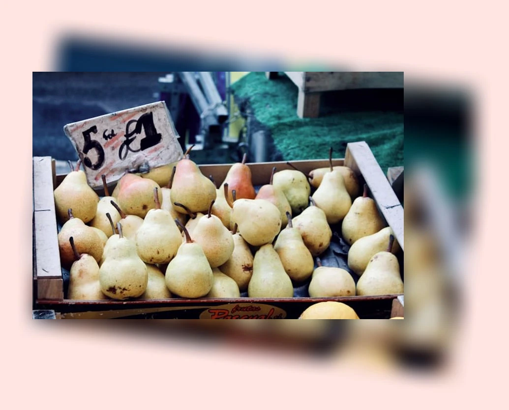 건강 도시락_2_subsection