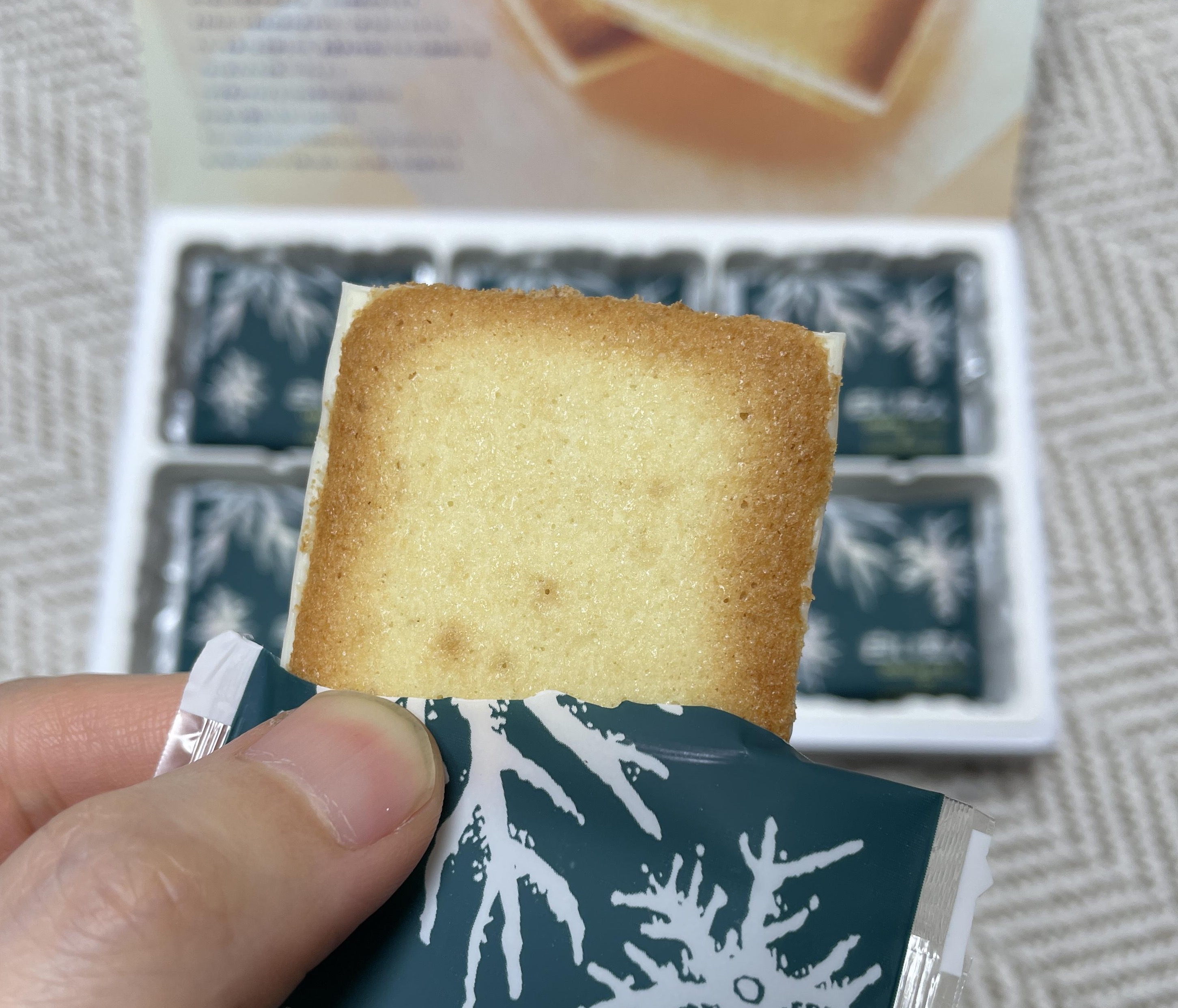 일본 시로이 코이비토