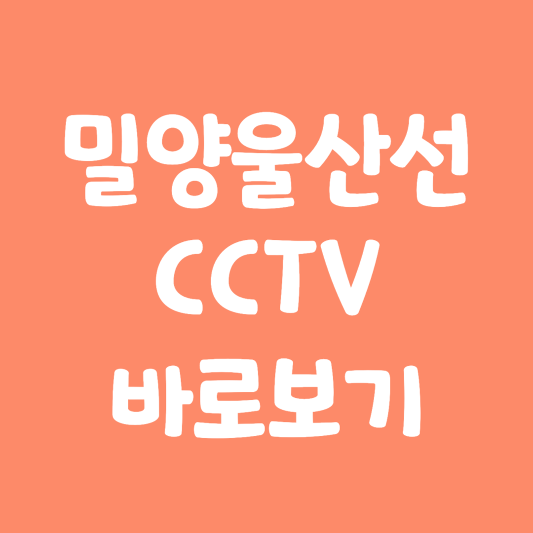 실시간 밀양울산선 CCTV 바로보기