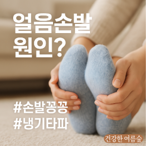🥶 손발만 얼음장? 수족냉증 증상과 원인 바로 알기