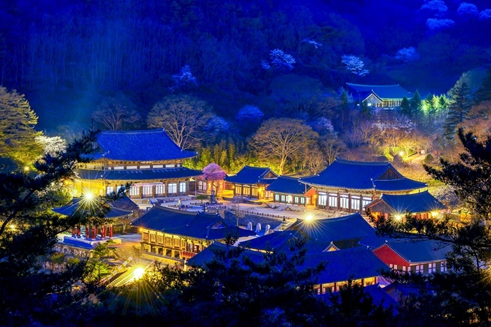 화엄사 야간 이미지 사진 2