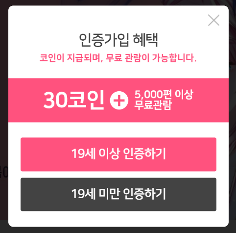 19세 이상 또는 미만 인증하기 화면 사진