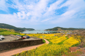 청산도 배시간표