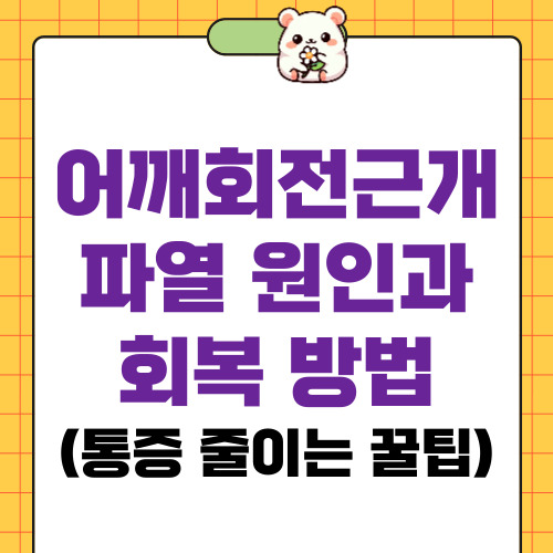 어깨회전근개파열