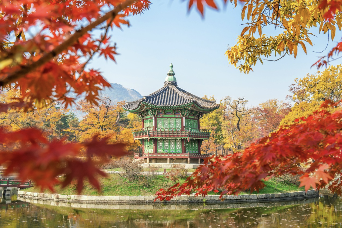계절별 국내 여행지 관련 사진