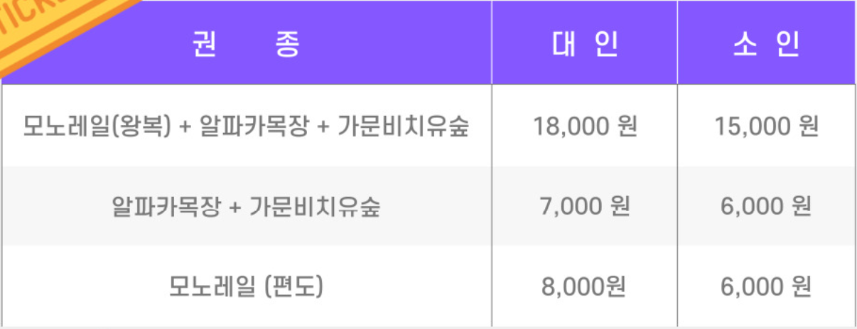 평창 애니포레