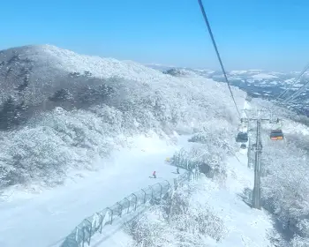 발왕산 케이블카_18